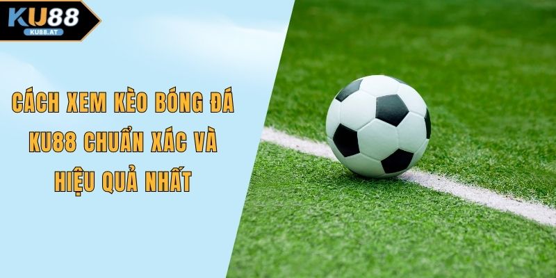 Cách xem kèo bóng đá