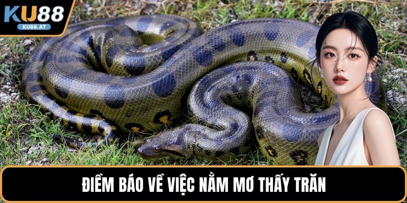 Điềm báo về việc nằm mơ thấy trăn 