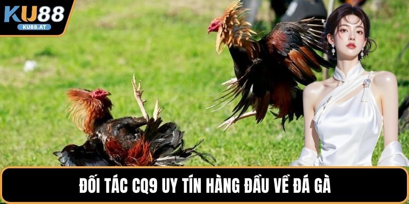 Đối tác CQ9 uy tín hàng đầu về đá gà