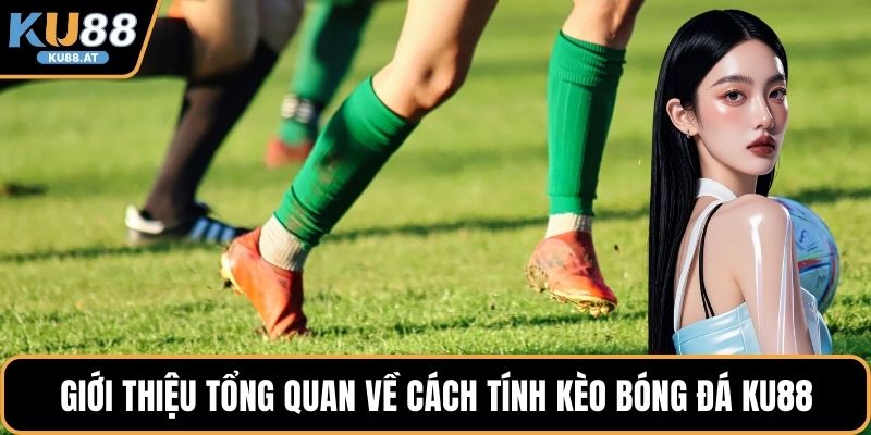 Giới thiệu tổng quan về cách tính kèo bóng đá KU88