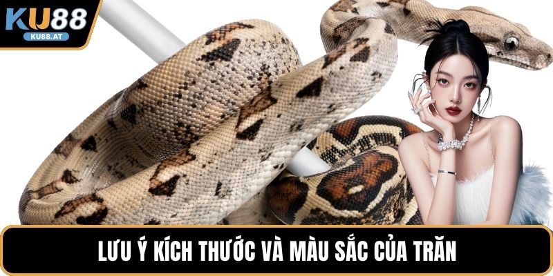 Lưu ý kích thước và màu sắc của trăn