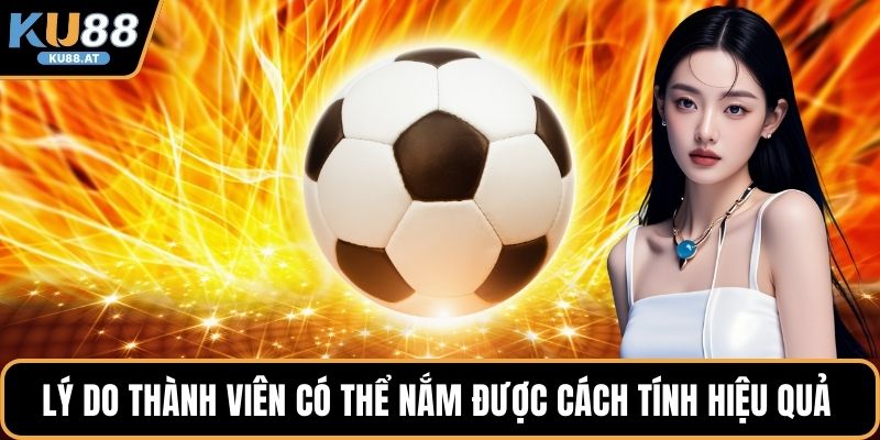 Lý do thành viên có thể nắm được cách tính hiệu quả