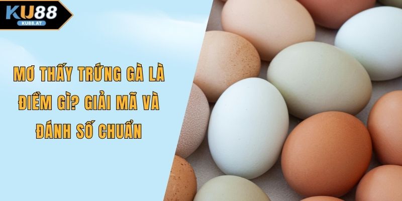 Mơ thấy trứng gà