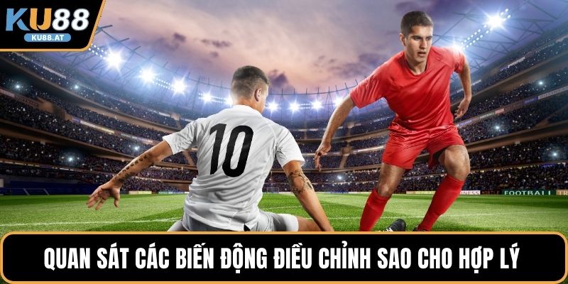 Quan sát các biến động điều chỉnh sao cho hợp lý